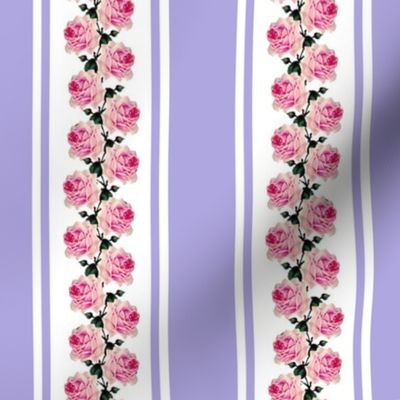 Climbing pink vintage roses lilac stripe (small)