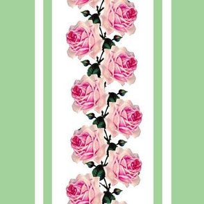 Climbing pink vintage roses green stripe (large)