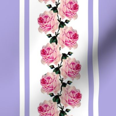 Climbing pink vintage roses lilac stripe (large)