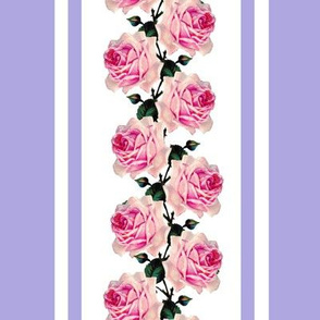 Climbing pink vintage roses lilac stripe (large)