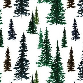 Christmas Tree Farm B |Evergreen trees|Renee Davis