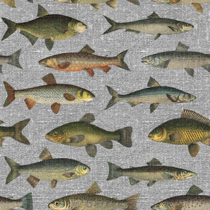Vintage Fish on Grey Linen - large scale Fabric byred_raspberry_design