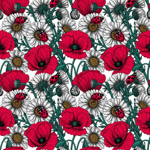 The meadow in red and green, ladybugs on daisy and poppy flowers, small size