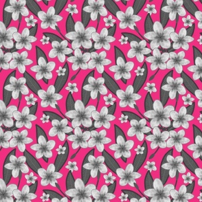 Frangipani Garden - greyscale on magenta hot pink, medium