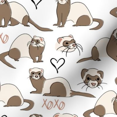 Ferrets XOXO - White Medium Scale