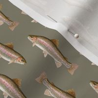 small rainbow trout (vertical) on pewter grey