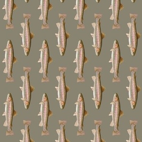 small rainbow trout (vertical) on pewter grey