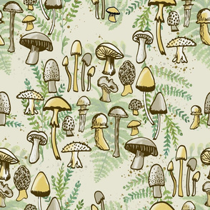 Where the Mushrooms Grow