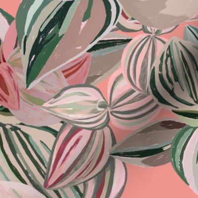 Pink plants