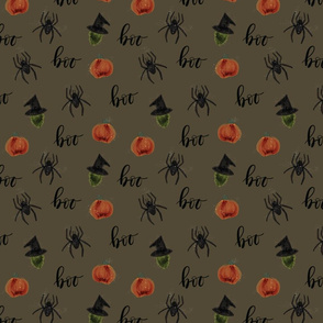 small 13-16 pumpkins spiders witches boo