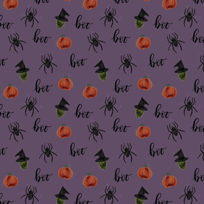 small 87-13 pumpkins spiders witches boo