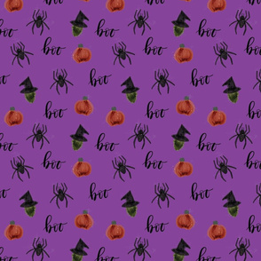 small 91-7 pumpkins spiders witches boo