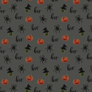 small 169-16 pumpkins spiders witches boo