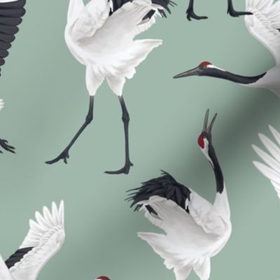 Japanese Cranes - Medium - Light Teal Gray