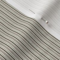 PP20100_Icy Pin Stripes_Neutral Brown Seaml