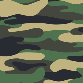 Camo pattern_classic colors_large scale