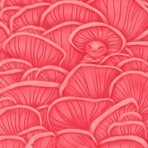 Pink Oyster Mushroom