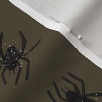 watercolor spiders // 13-16