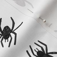 watercolor spiders // white