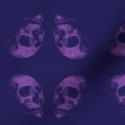 mirror image skulls