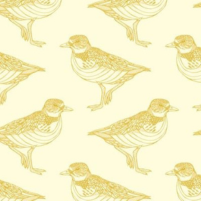 Dotterel Yellow