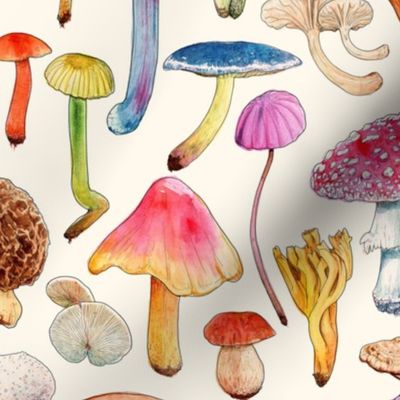Mushroom Aquarela