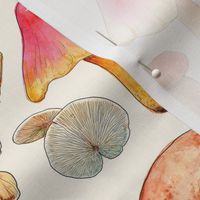 Mushroom Aquarela
