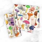 Mushroom Aquarela