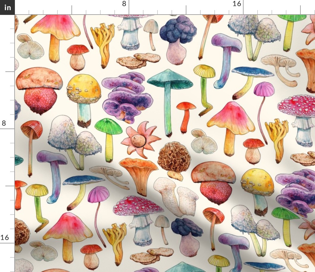 Mushroom Aquarela