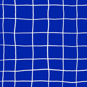 Checked (blue)