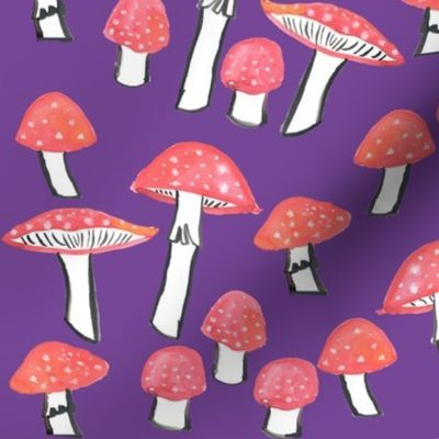 Mushroom (amanita muscaria)