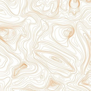 contour map (IOF brown)