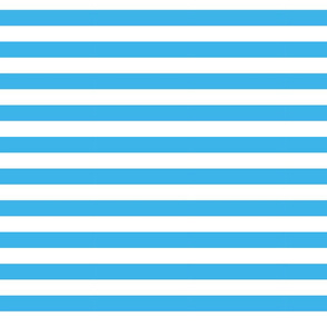 Normal scale • Stripes blue and white