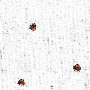 Mushroom Forest - Ladybug Coordinate - Large Scale