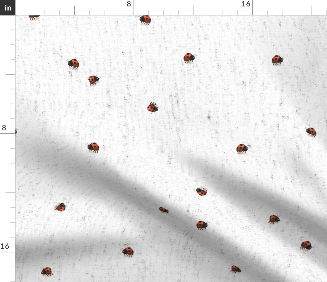 Mushroom Forest - Ladybug Coordinate - Medium Scale