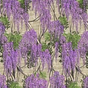 Wisteria Vines  on Old Stone Wall Wallpaper 