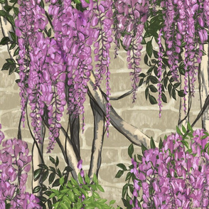 Pink Wisteria on Old Stone Wall