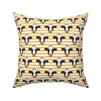 Holstein-Friesian  cows on gold - farming - LAD20