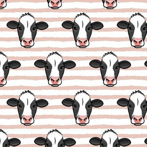 Holstein-Friesian  cows on blush stripes - farming - LAD20