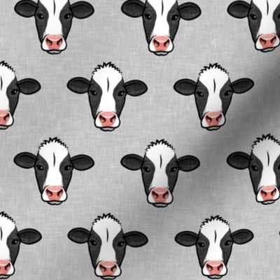 Holstein-Friesian  cows on grey - farming - LAD20
