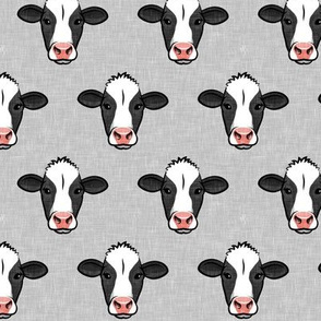 Holstein-Friesian  cows on grey - farming - LAD20