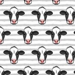 Holstein-Friesian  cows on grey stripes - farming - LAD20