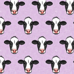 Holstein-Friesian  cows on purple - farming - LAD20