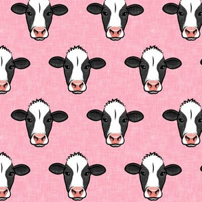 Holstein-Friesian  cows on pink - farming - LAD20