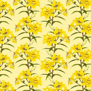 Lemon Lillies