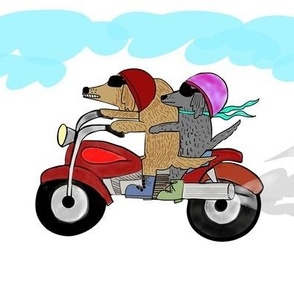 Dachshunds on a motorcycle 