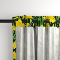 Daffodils on Dark Green