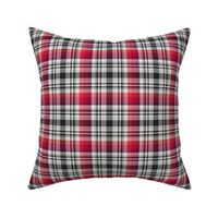 Black and White with Shades of Red Asymmetrical Plaid Version 2