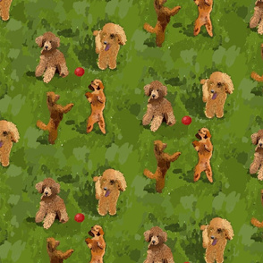 Toy Poodle seamless pattern 