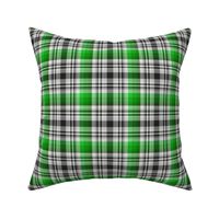 Black and White with Shades of Green Asymmetrical Plaid Version 2